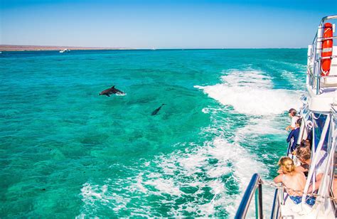 Ningaloo Reef – exotic & unique paradise