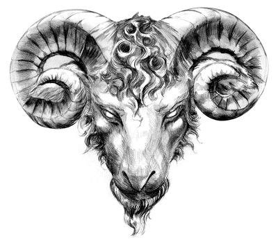 Aries Ram Tattoo on Pinterest | Aries Zodiac Tattoos, Aries Tattoos and ...