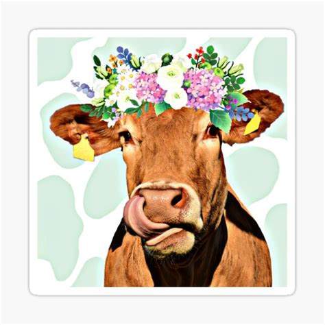 "Brown Cow" Sticker for Sale by Peachypeculiar | Redbubble