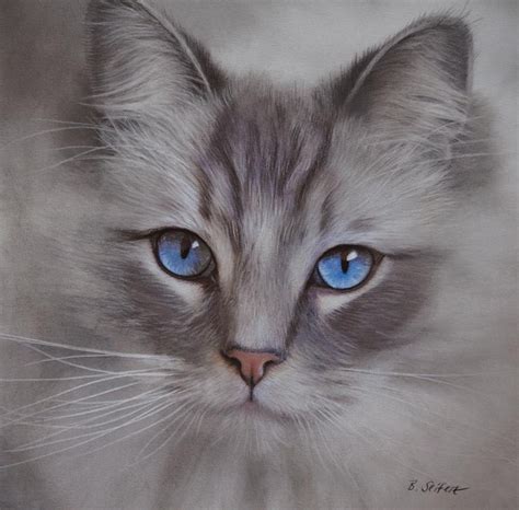 Blue Eyes | Grey and white cat, Beautiful cats, Curious cat