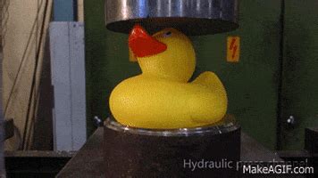 Rubber Ducks GIFs - Find & Share on GIPHY