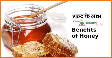 शहद के लाभ Benefits of Honey in hindi - Live healthy life