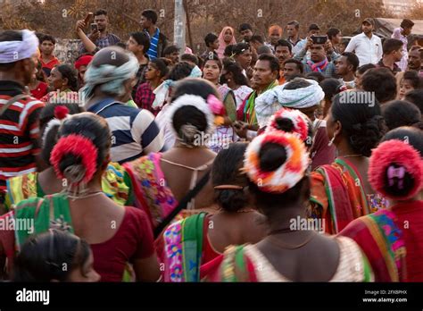 Santal tribal people celebrating an annual gathering. The festival ...