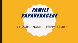 FAMILY PAPAVERACEAE & NYCTAGINACEAE | PPT