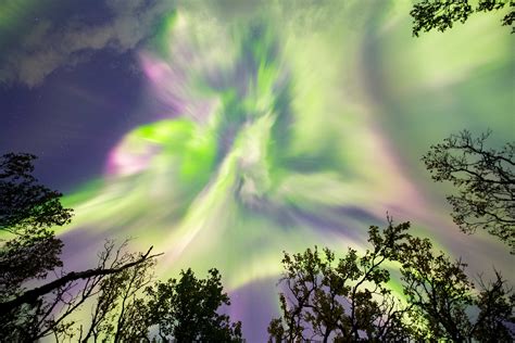 Aurora borealis observatory on Senja island Norway | オーロラ フィンランド, 磁気嵐, 夏