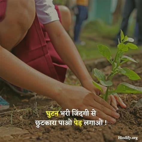 205+ Powerful Slogans On Save Trees | Plantation Quotes (2022)