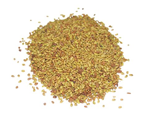 Alfalfa Seeds 100gr