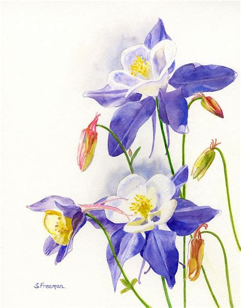 Columbine Flower Drawing at GetDrawings | Free download