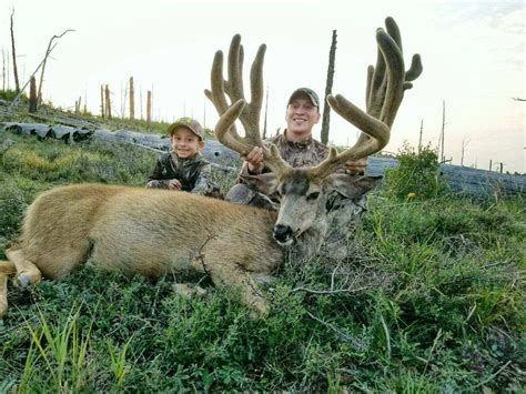 Kaibab Mule Deer Hunting in Arizona