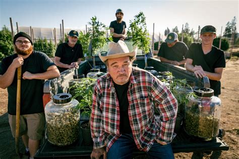 Growing Belushi Discovery: Release Date/Time, Jim Belushi Cannabis Show