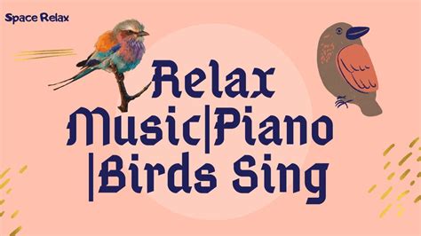 Birdsong | Piano | Relax Music | - YouTube