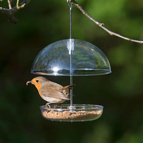 How to feed live mealworms to garden birds. – Wiggly Wigglers