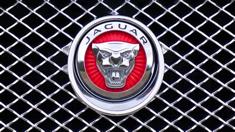 Jaguar Symbol