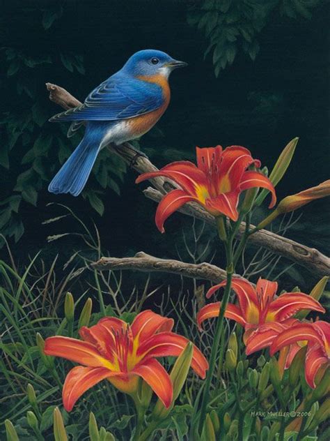 Imagenes De Paisajes Con Flores Y Pajaros