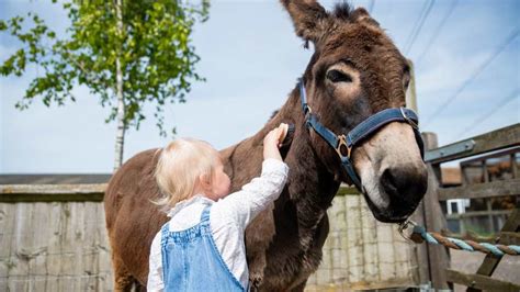 Hogshaw Farm & Wildlife Park - Places to go | Lets Go With The Children