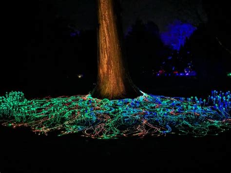 Wimpole Christmas lights 15/12/2023 | Mewhen123 | Flickr