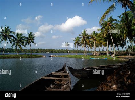 Scenery view of Kerala Backwaters at India Stock Photo - Alamy