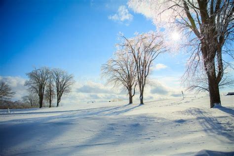 Winter landscape, Quebec stock image. Image of outdoor - 7731873