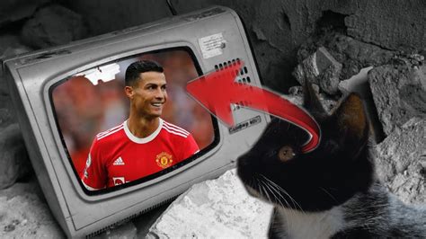 Kot ogląda Cristiano Ronaldo / The cat is watching Cristiano Ronaldo | Freestyle - YouTube