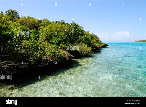 Ile aux Aigrettes Nature Reserve, Mauritius island Stock Photo - Alamy