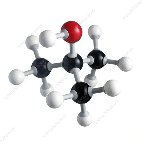 Tert-Butanol molecule - Stock Image - F003/9043 - Science Photo Library