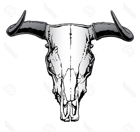 Longhorn Skull Drawing | Free download on ClipArtMag