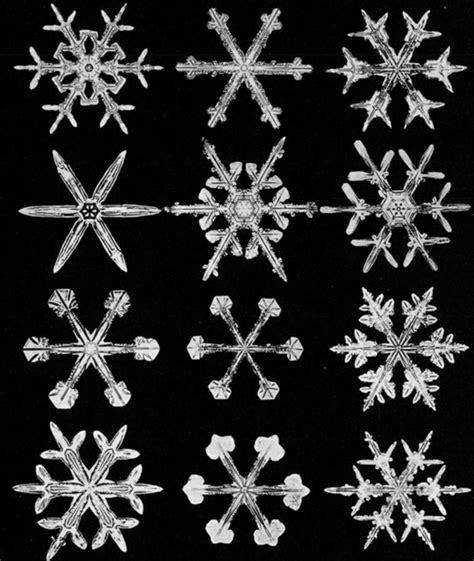 19th-Century Photos of Snowflakes Under a Microscope Show the ...