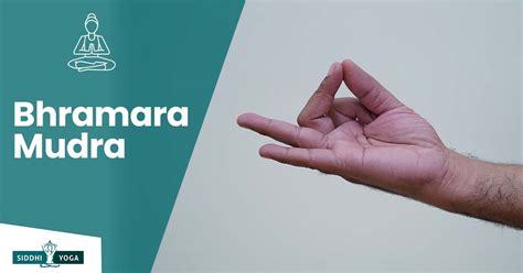 Brahmara Mudra: Meaning, Benefits, & How to Do | Siddhi Yoga