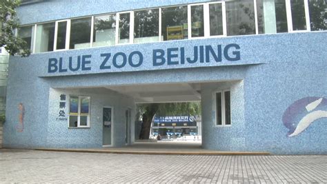 Blue Zoo Aquarium Entrance in Stock Footage Video (100% Royalty-free) 408136 | Shutterstock