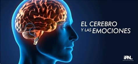 El Cerebro y las Emociones ~ Instituto de PNL del Uruguay