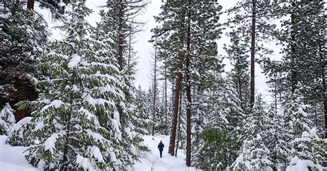 Montana snowpack holding steady to start year | Daily Inter Lake