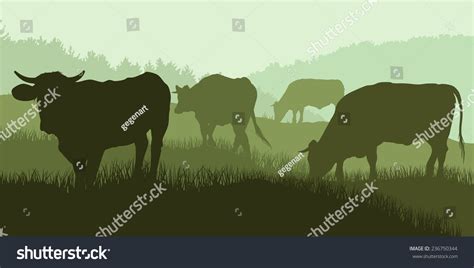 A Herd Of Cows In A Meadow, Silhouettes, Green Stock Photo 236750344 : Shutterstock