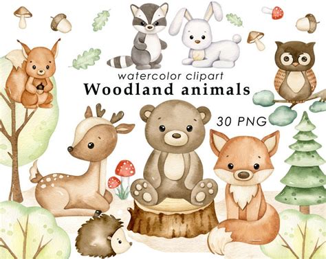 Woodland Animals Clipart Png | ubicaciondepersonas.cdmx.gob.mx