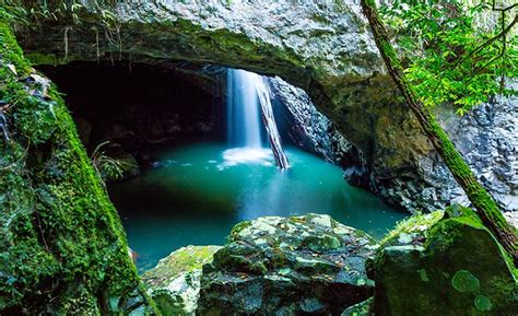 The-Natural-Bridge-Springbrook-National-Park – Hello Gold Coast