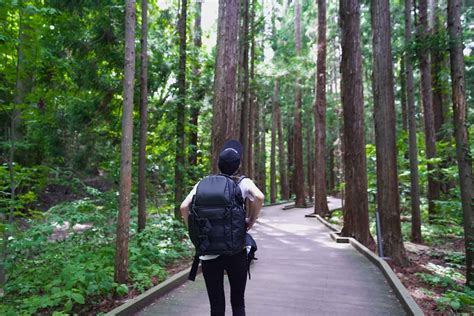 MT. MARUYAMA (MARUYAMA PARK) – Visit Sapporo : The Official Travel Guide to Sightseeing in Sapporo