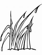 Grass coloring pages sketch template