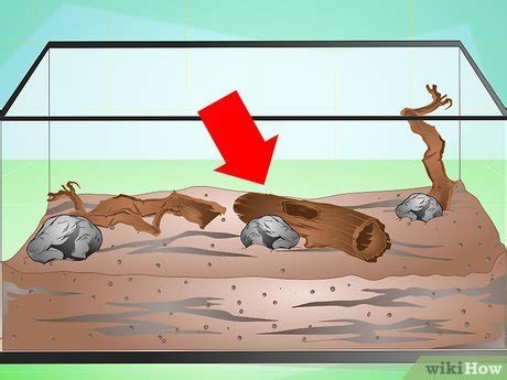 How to Make a Millipede Habitat (with Pictures) - wikiHow