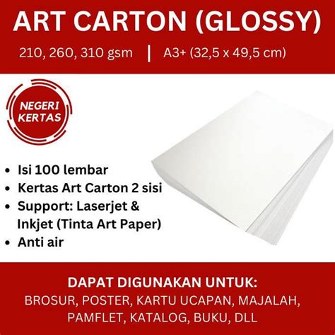 TERLARIS Art Karton / Art Carton A3+ Isi 100 lembar (210/260/310 gsm ...