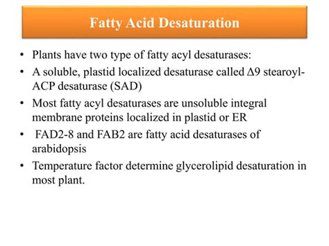 Lipids metabolism in plants