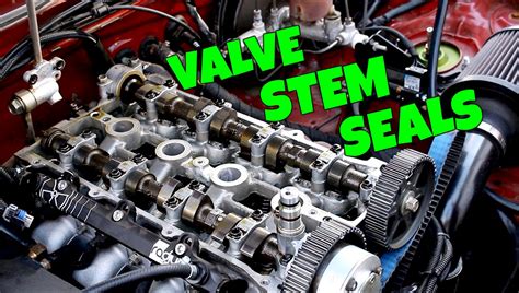 The ULTIMATE Guide To Replacing Valve Stem Seals The Easy Way – The Car ...