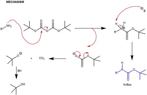 PROTECTION OF AMINE: di-tert-butyl dicarbonate [Boc anhydride (Boc)2O ...