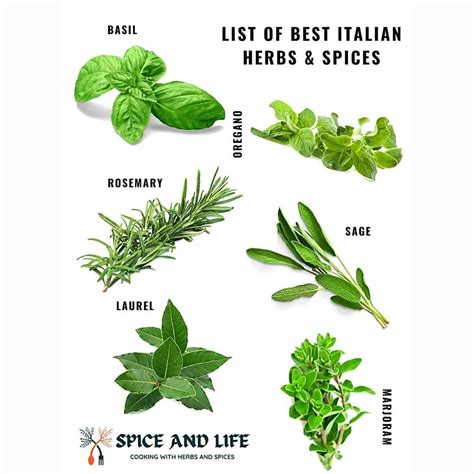 List Of Best Italian Herbs and Spices | Spice and Life