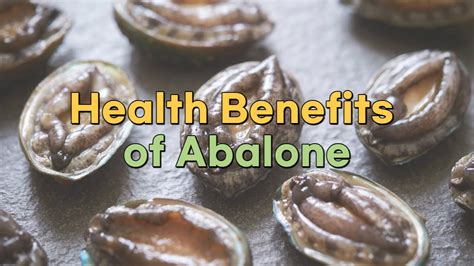 Health Benefits of Abalone - YouTube