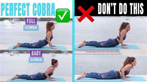 MISTAKES IN COBRA POSE | BHUJANGASANA | COBRA POSE - YouTube