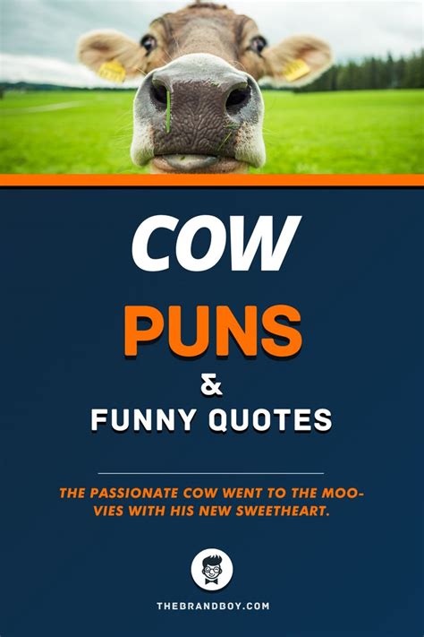 56+ Best Cow Puns and Quotes | Cow puns, Puns, Funny puns