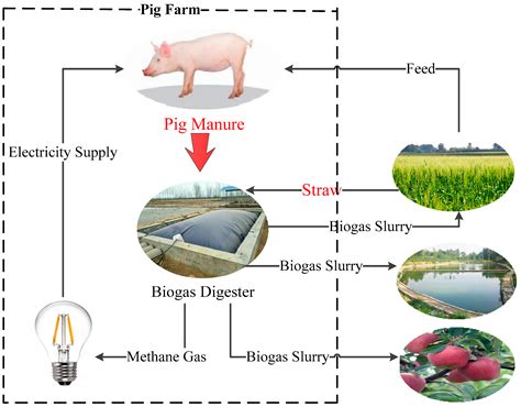 principles of animal production and economics - sugalineartdrawingsimple