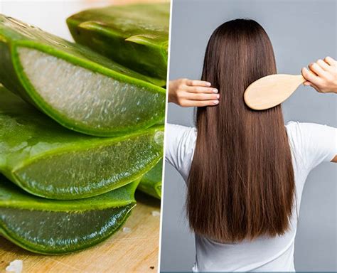 Easy Ways To Use Aloe Vera For Quick Hair Growth | HerZindagi