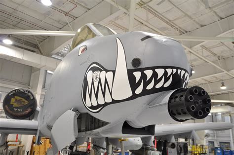 Warthog snarls for the camera > 442d Fighter Wing > Article Display