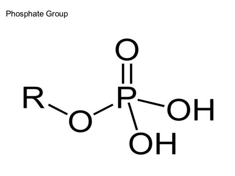 Phosphate group