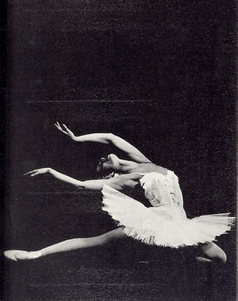 prettystuff | Ballet photos, Ballet images, Dance photography